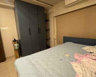 3 Bhk Plus Terrace on Lease